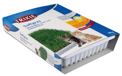 Iarba bio pentru pisici Trixie 100g